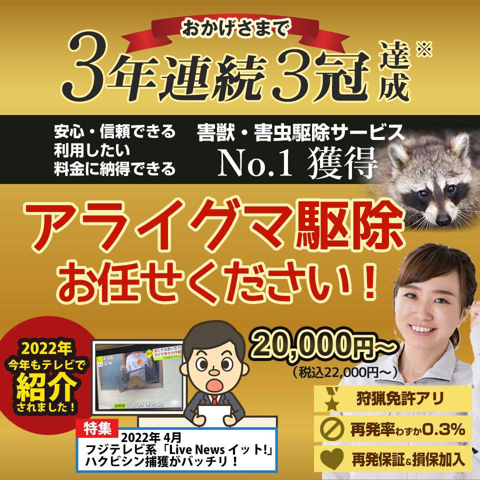 長崎県のアライグマ駆除対応エリアのアライグマのお悩み、お任せください！