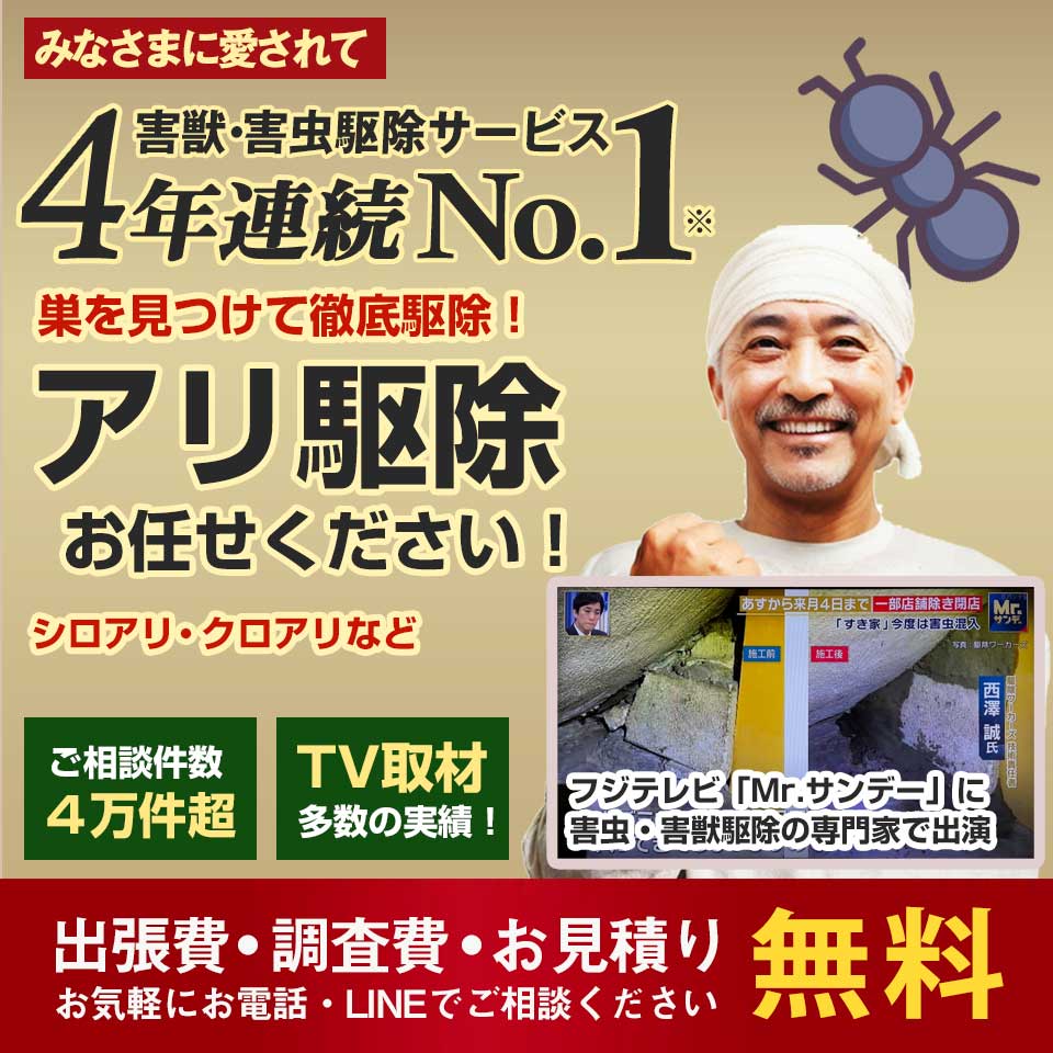 【茨城県】アリ駆除なら4年連続No.1のアリ駆除ワーカーズへ。調査・見積無料！アリのお悩み何でもご相談ください