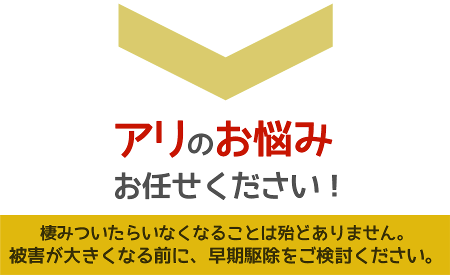 アリ被害に悩んだら、ご相談ください。無料にて現地調査・お見積りします。茨城県のアリ駆除はアリ駆除ワーカーズ