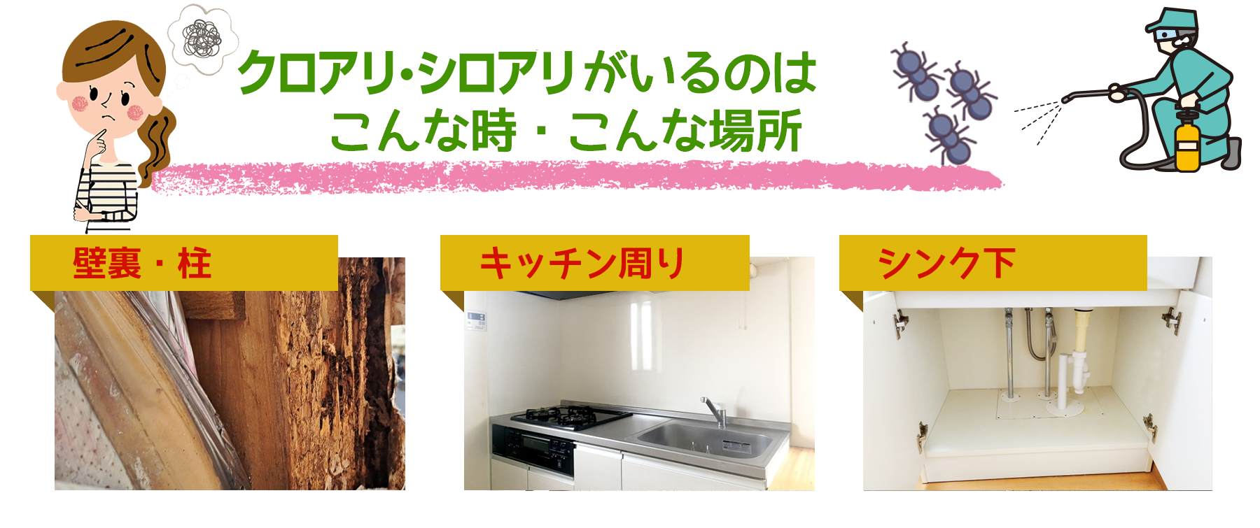 アリがいるのは、こんな時、こんな場所。茨城県のアリ駆除はアリ駆除ワーカーズ