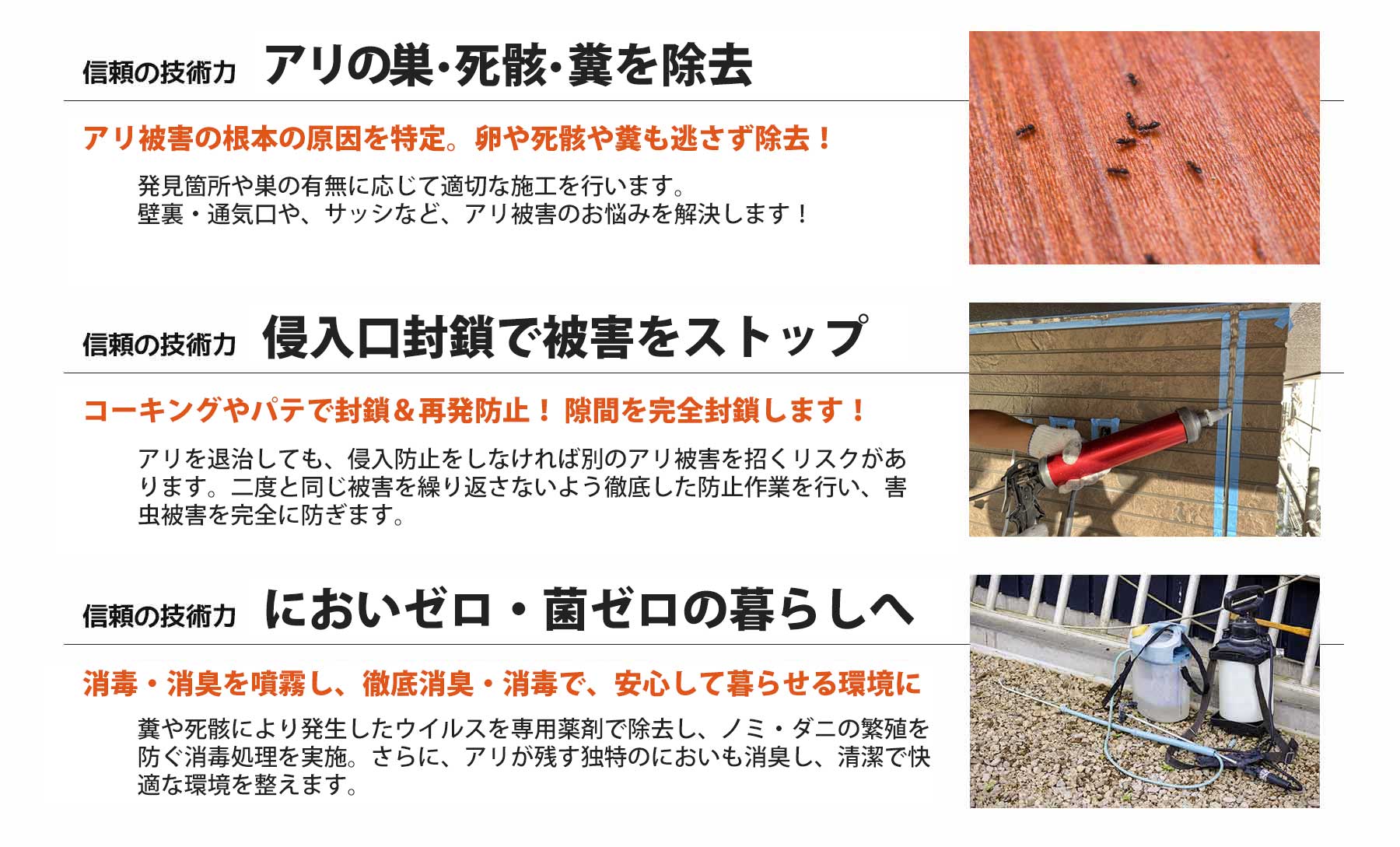 アリ駆除の安心と信頼の技術力。茨城県のアリ駆除はアリ駆除ワーカーズ