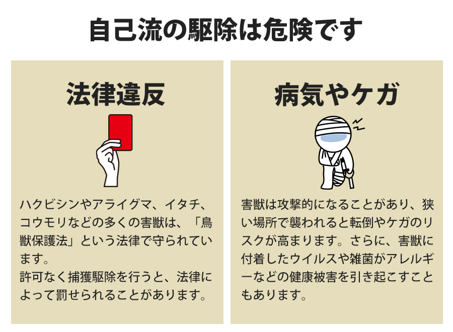 ご注意ください！ご自身でのアリ駆除。茨城県のアリ駆除はアリ駆除ワーカーズ