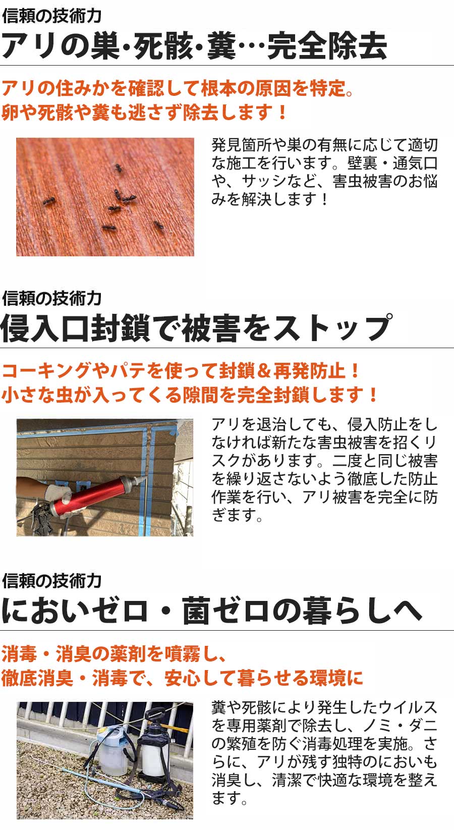 アリ駆除の安心と信頼の技術力。茨城県のアリ駆除はアリ駆除ワーカーズ