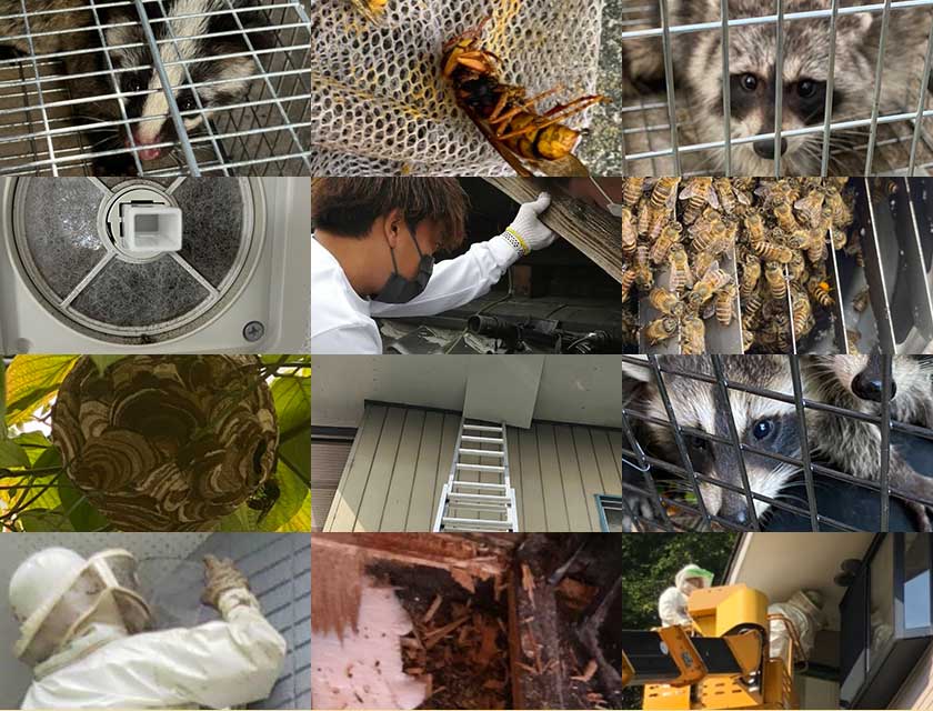 ご相談件数40,000件突破の桐生球場前駅周辺の駆除ワーカーズ