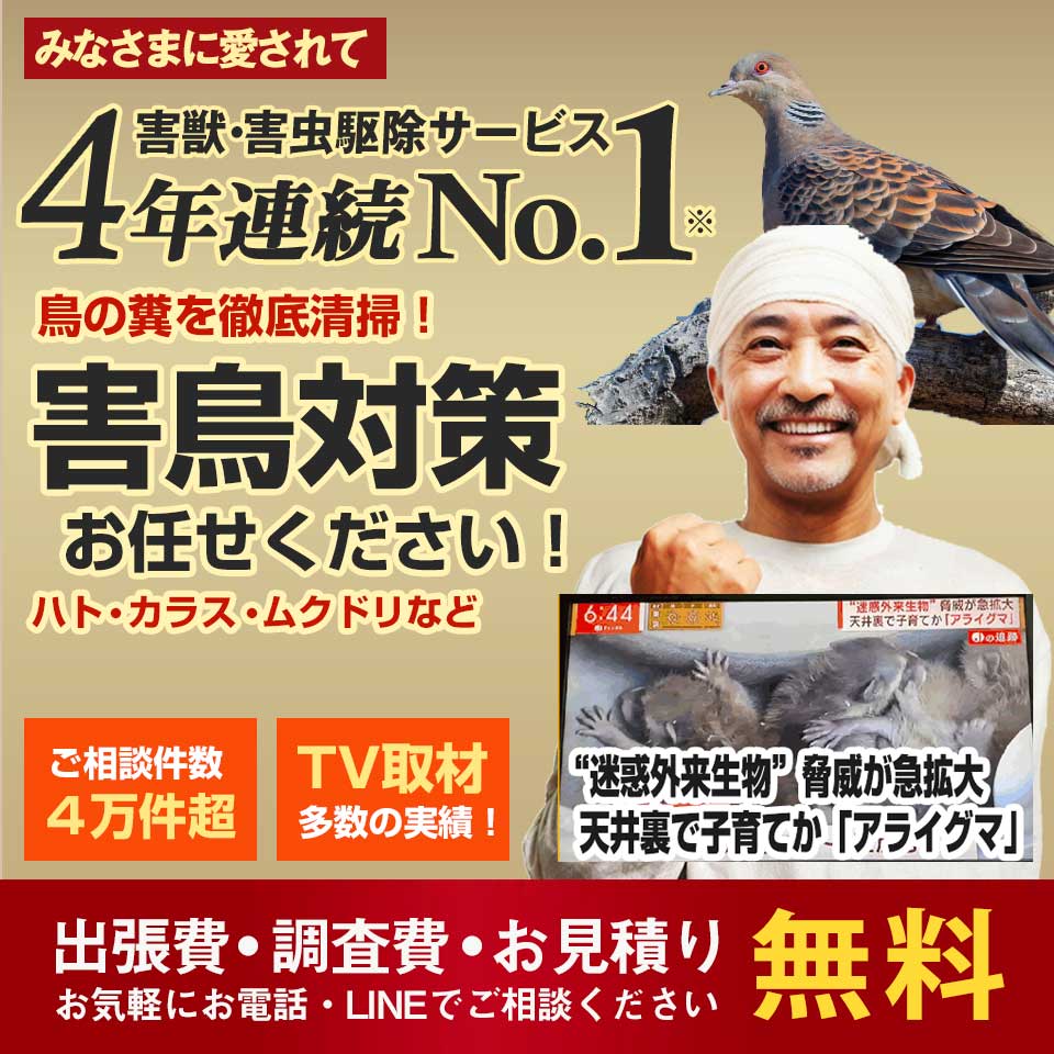 【茨城県】害鳥対策なら4年連続No.1の害鳥駆除ワーカーズへ。調査・見積無料！害鳥のことなんでもご相談ください