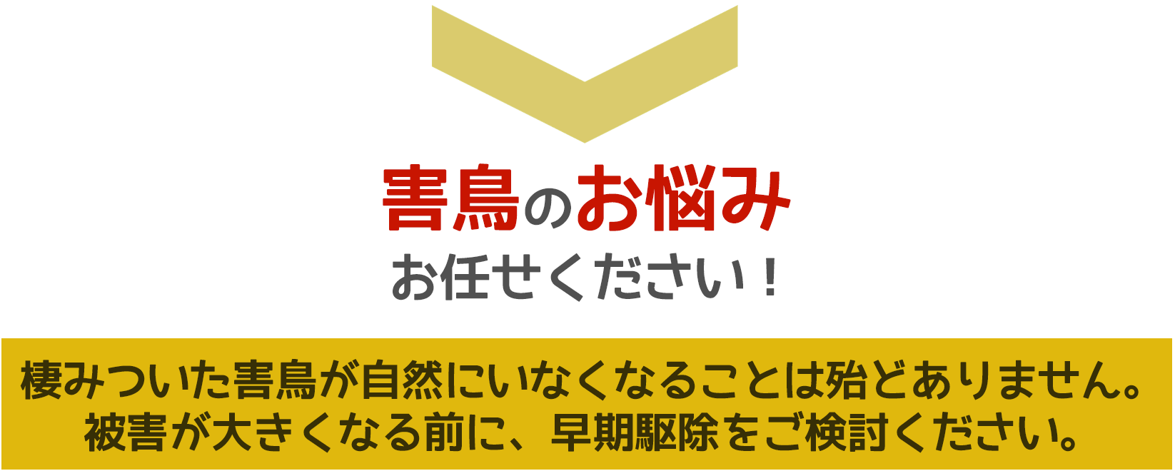 害鳥被害に悩んだら、ご相談ください。無料にて現地調査・お見積りします