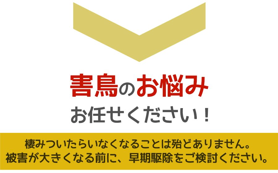 害鳥被害に悩んだら、ご相談ください。無料にて現地調査・お見積りします