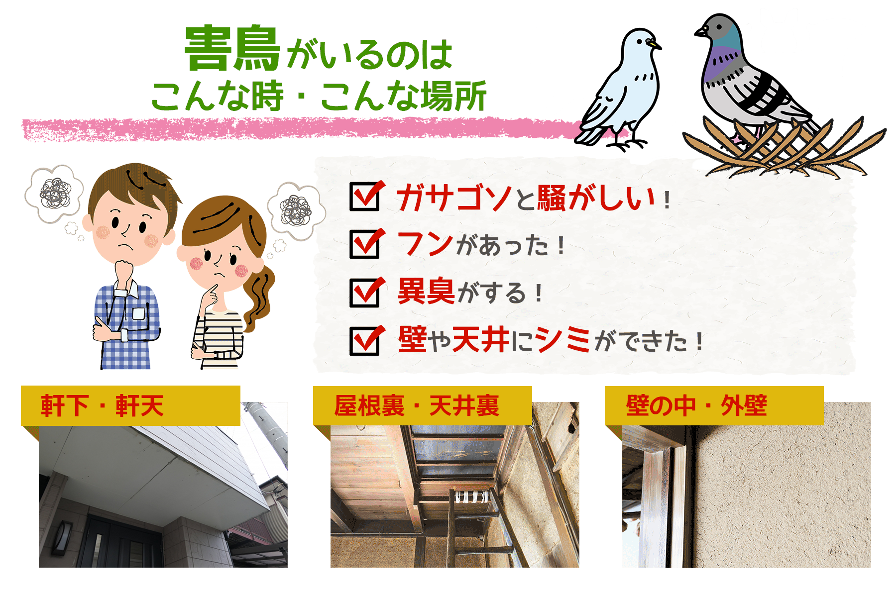 害鳥がいるのは、こんな時、こんな場所