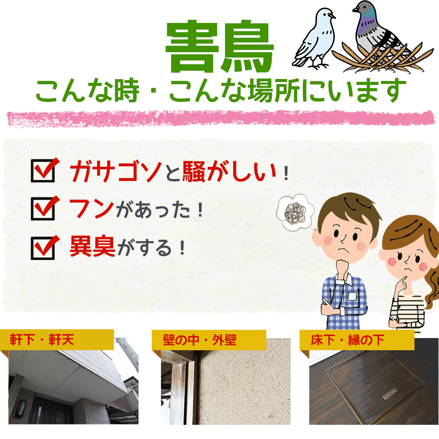 害鳥がいるのは、こんな時、こんな場所