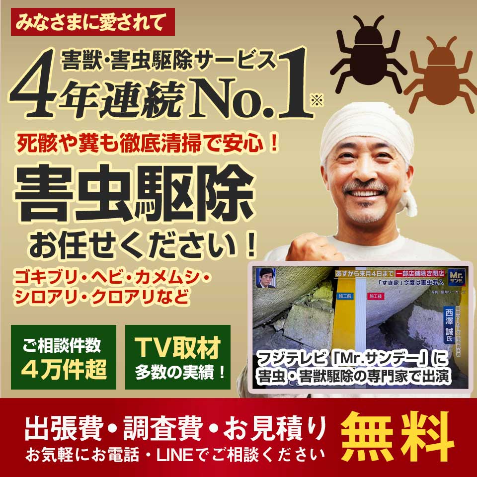 【千葉県】害虫駆除なら4年連続No.1の害虫駆除ワーカーズへ。調査・見積無料!蜂・アリ・ゴキブリ・ヘビなど害虫のお悩み何でもご相談ください