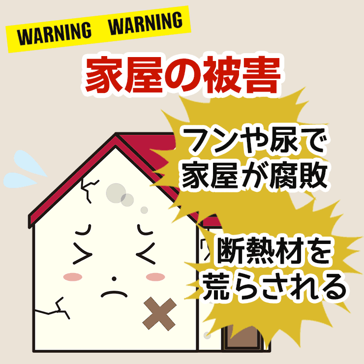 家屋への害獣被害。お住まいの地元の蜂・アリ・ゴキブリ・ヘビなど害虫駆除は害虫駆除ワーカーズ