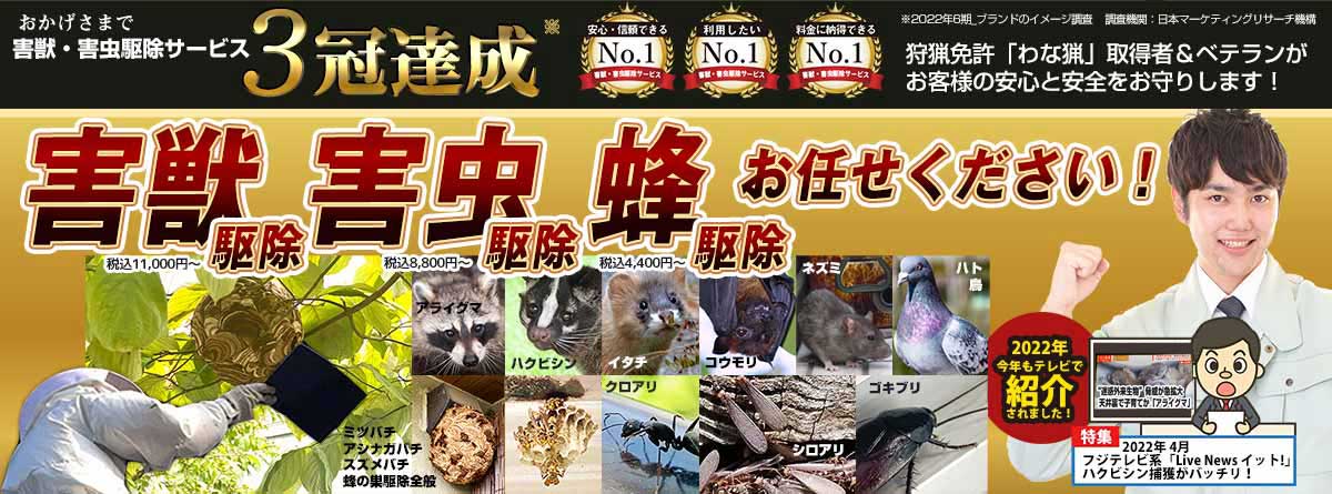 館山駅周辺の害獣のお悩み、お任せください！