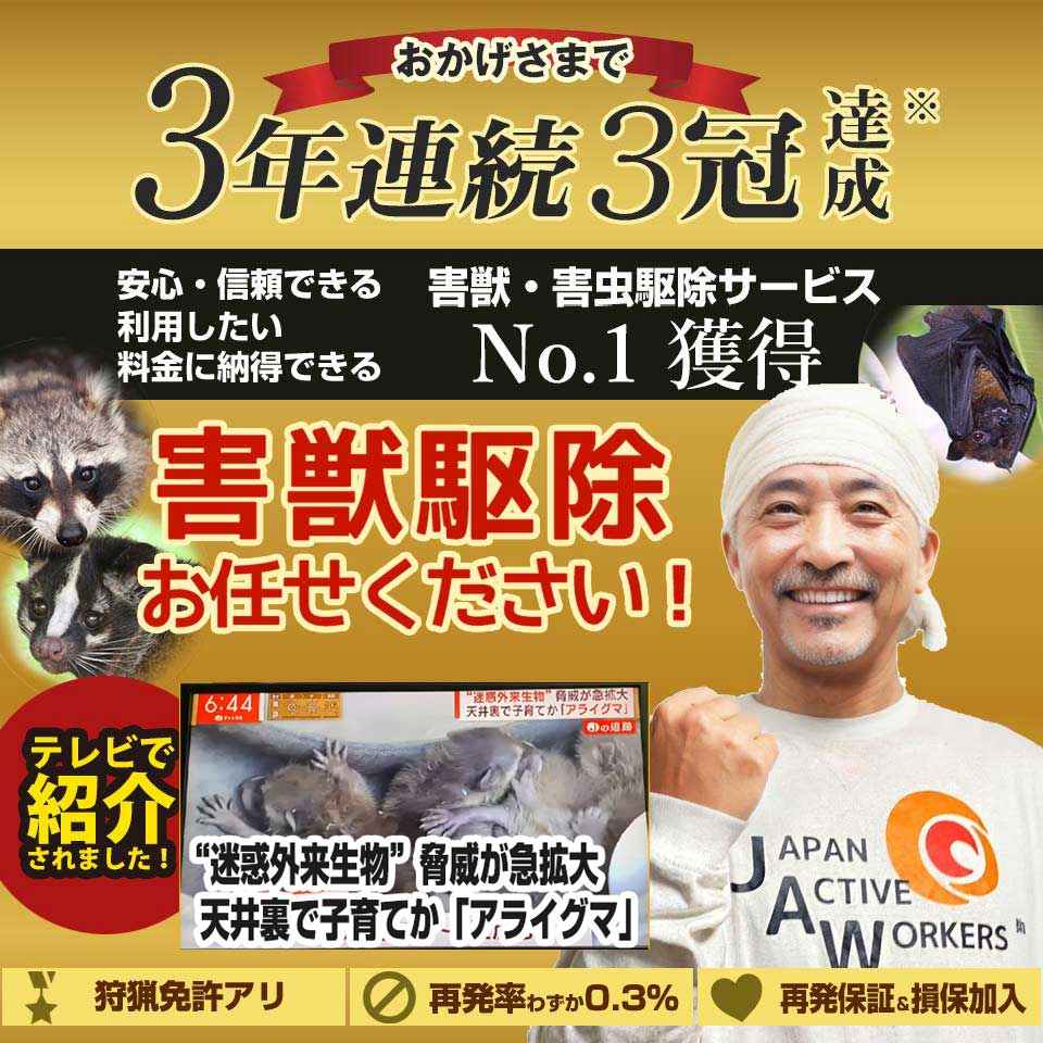 佐賀県神埼市の害獣のお悩み、お任せください！