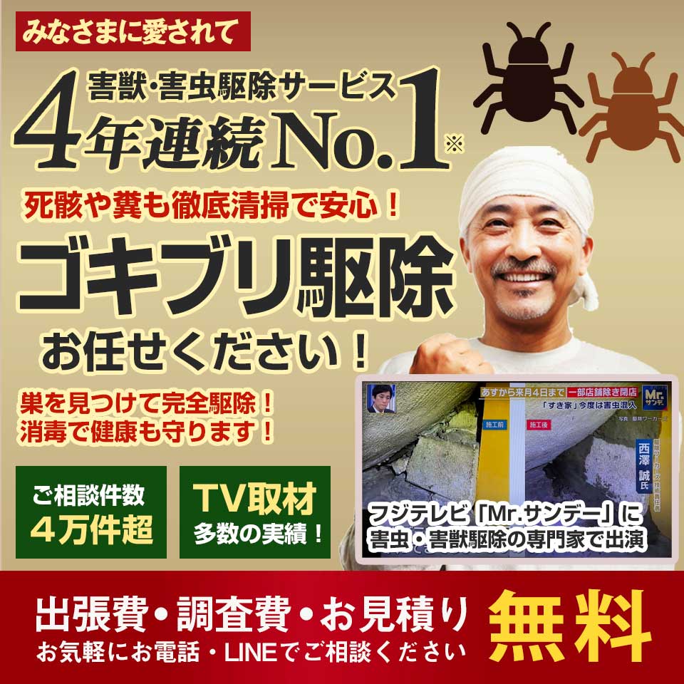 【群馬県】ゴキブリ駆除なら4年連続No.1のゴキブリ駆除ワーカーズへ。調査・見積無料!ゴキブリのお悩み何でもご相談ください