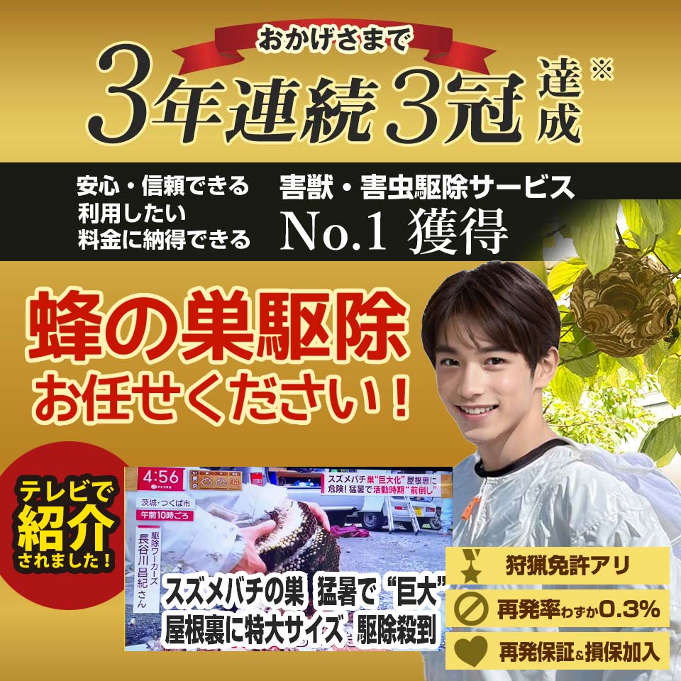 滝不動駅周辺】蜂の巣駆除、調査・見積無料！即日対応！4,400円～。蜂