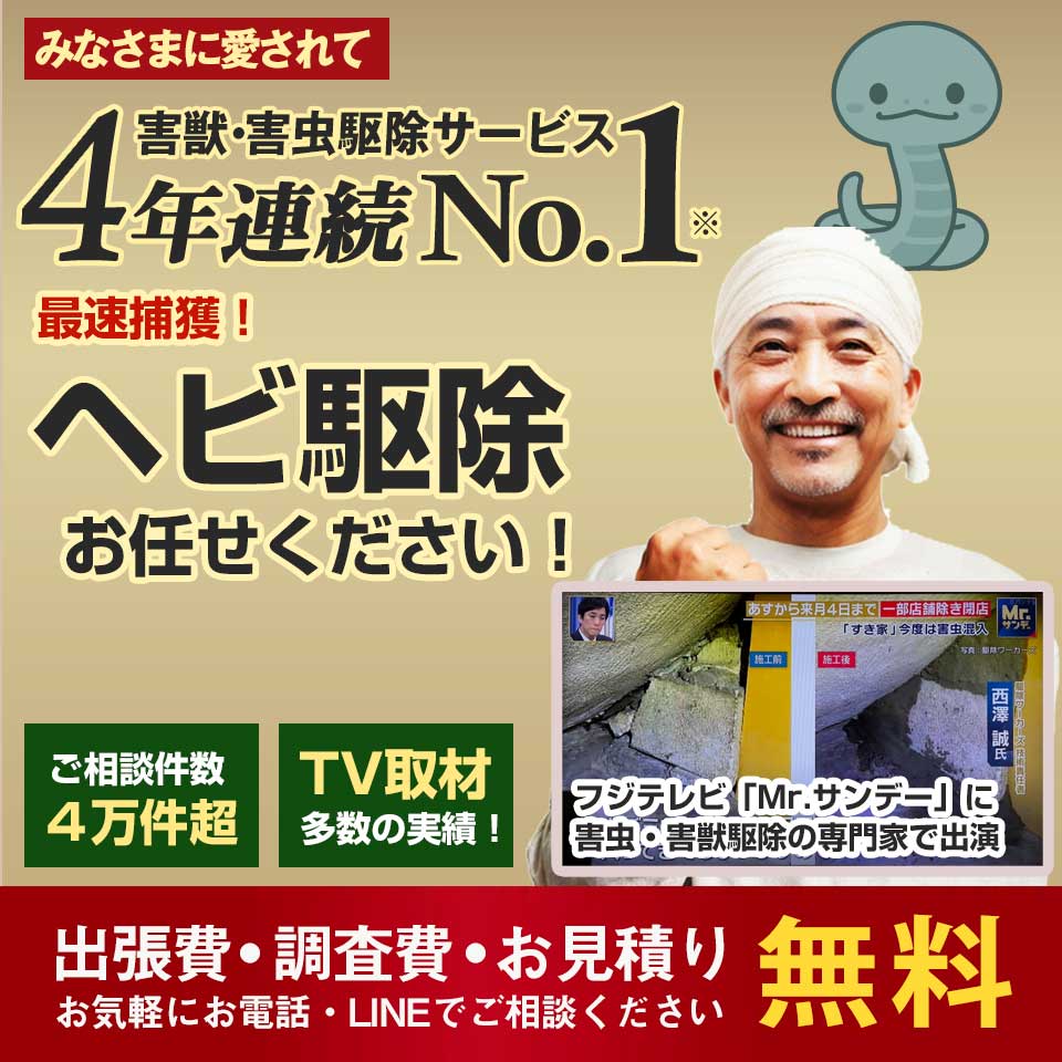 【お住まいの地元】ヘビ駆除なら4年連続No.1のヘビ駆除ワーカーズへ。調査・見積無料!ヘビのお悩み何でもご相談ください