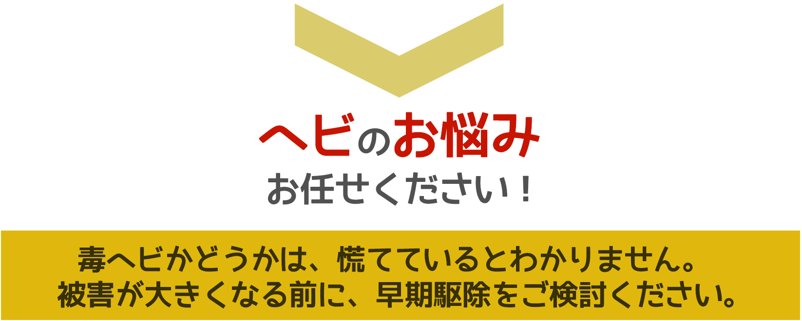 ヘビ被害に悩んだら、ご相談ください。無料にて現地調査・お見積りします。お住まいの地元のヘビ駆除はヘビ駆除ワーカーズ