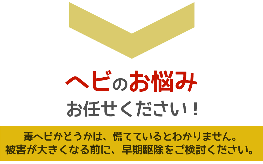 ヘビ被害に悩んだら、ご相談ください。無料にて現地調査・お見積りします。お住まいの地元のヘビ駆除はヘビ駆除ワーカーズ