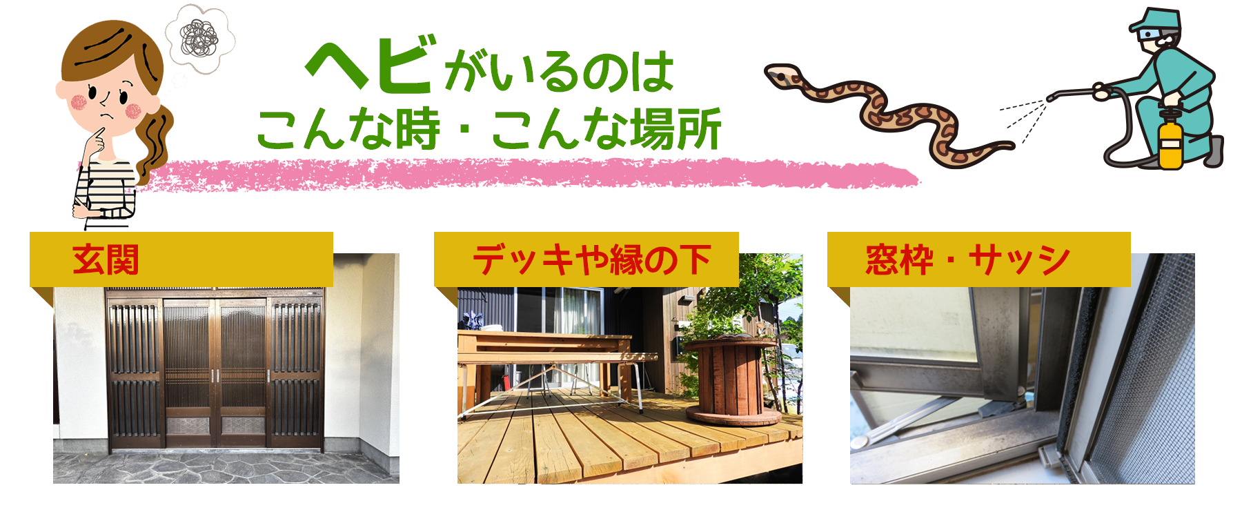 ヘビがいるのは、こんな時、こんな場所。お住まいの地元のヘビ駆除はヘビ駆除ワーカーズ