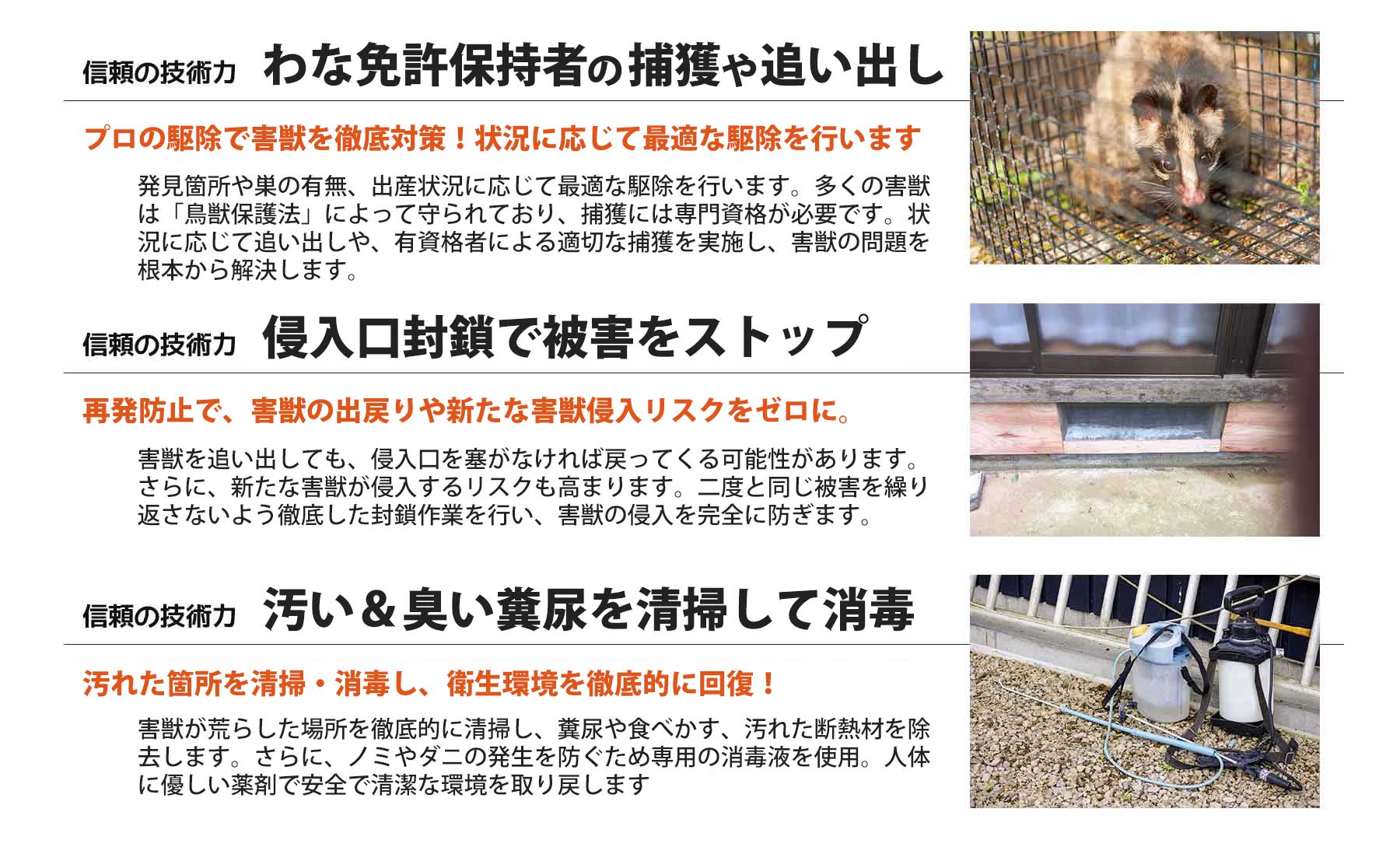ヘビ駆除の安心と信頼の技術力。お住まいの地元のヘビ駆除はヘビ駆除ワーカーズ