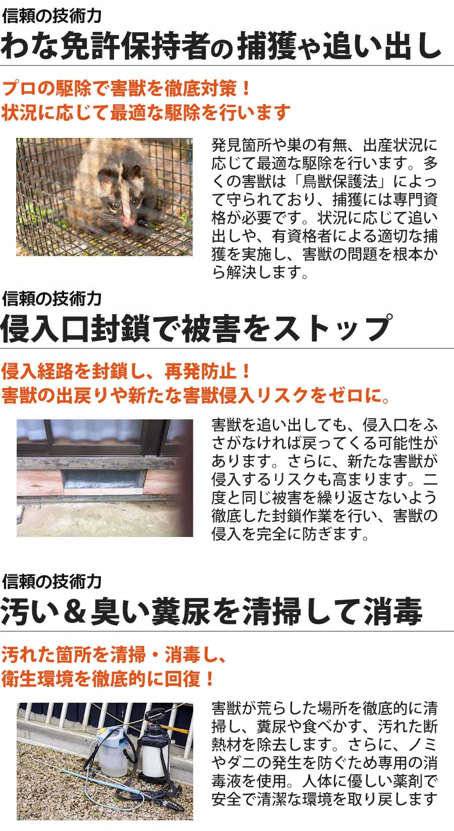 ヘビ駆除の安心と信頼の技術力。お住まいの地元のヘビ駆除はヘビ駆除ワーカーズ