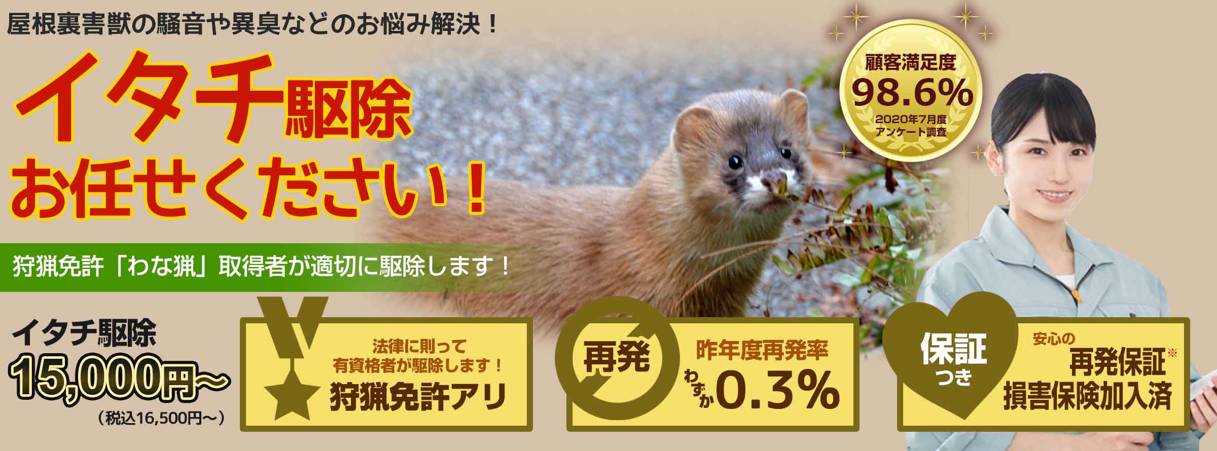 愛知県知多郡のイタチのお悩み、お任せください！