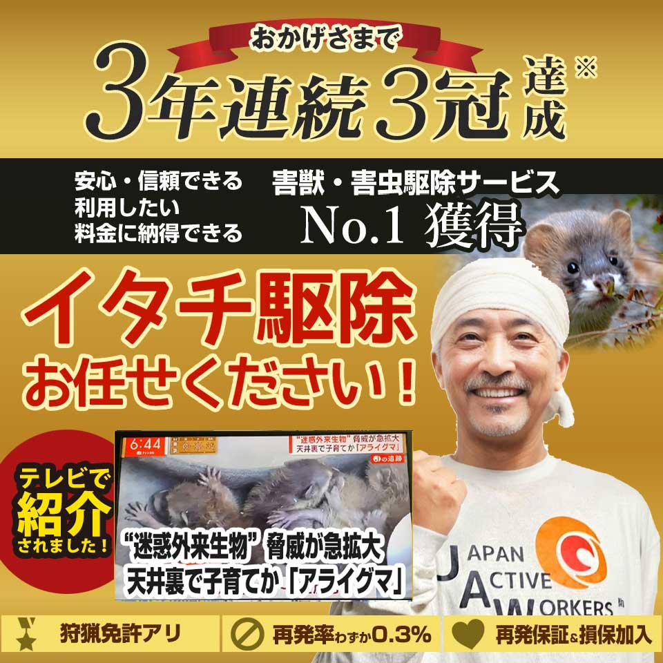 近江高島駅周辺のイタチのお悩み、お任せください！