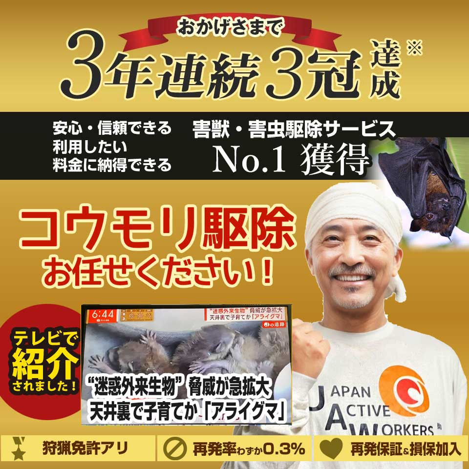 片野駅周辺のコウモリのお悩み、お任せください！