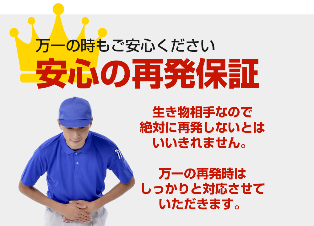 【安心の再発保証】万一の時もご安心ください