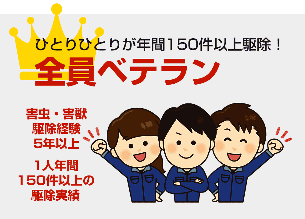 【全員ベテラン】ひとりひとりが年間150件以上駆除！