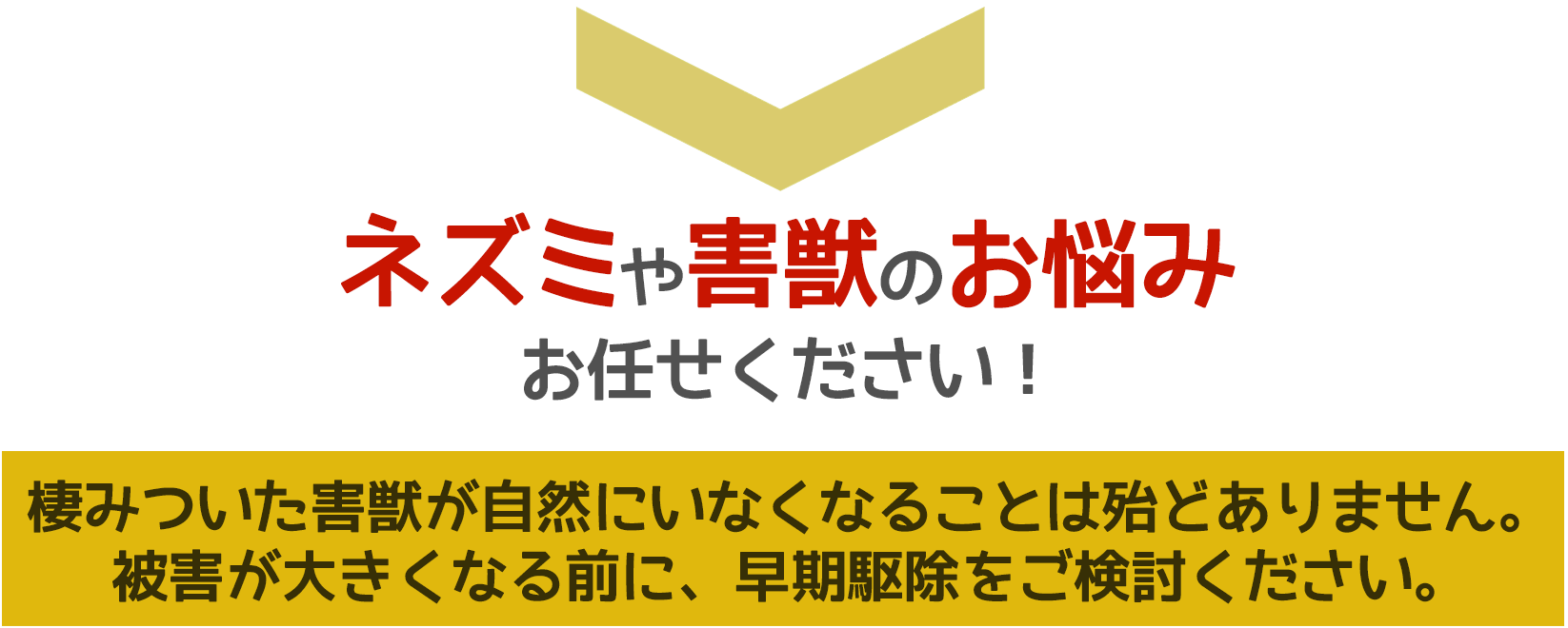 ネズミや害獣被害に悩んだら、ご相談ください。無料にて現地調査・お見積りします