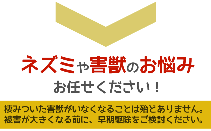 ネズミや害獣被害に悩んだら、ご相談ください。無料にて現地調査・お見積りします