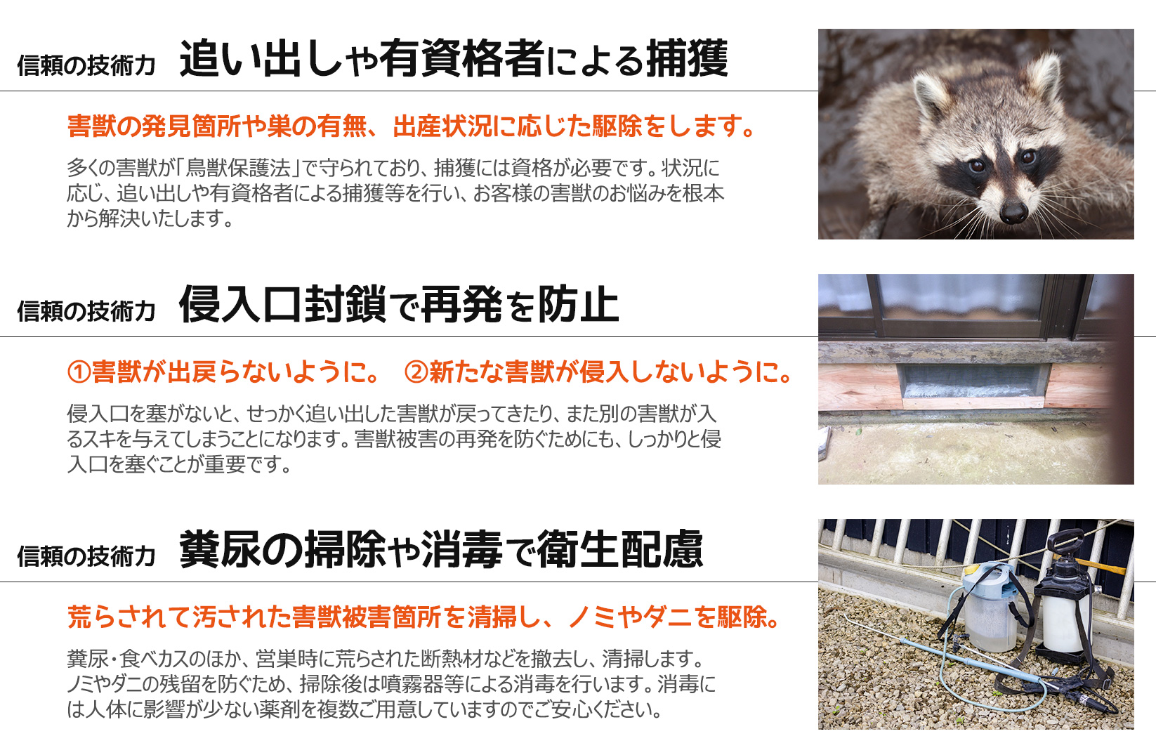 ネズミなどの害獣駆除の安心と信頼の技術力