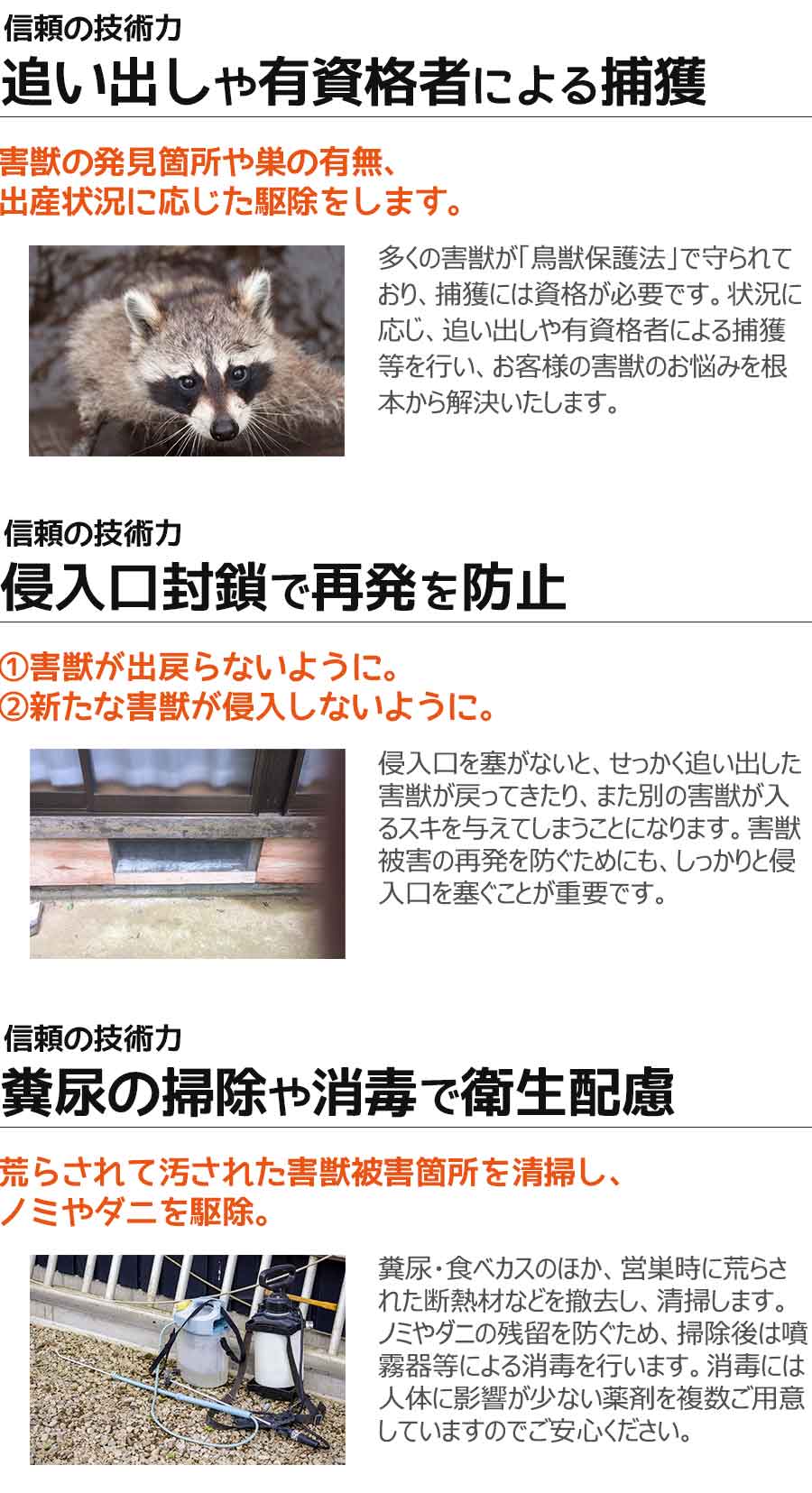 ネズミなどの害獣駆除の安心と信頼の技術力