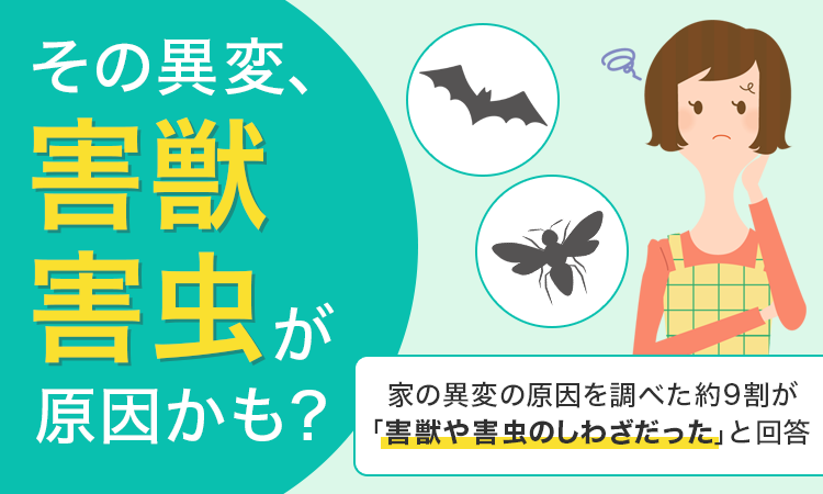 【その異変、害獣・害虫が原因かも？】家の異変の原因を調べた約9割が「害獣や害虫のしわざだった」と回答