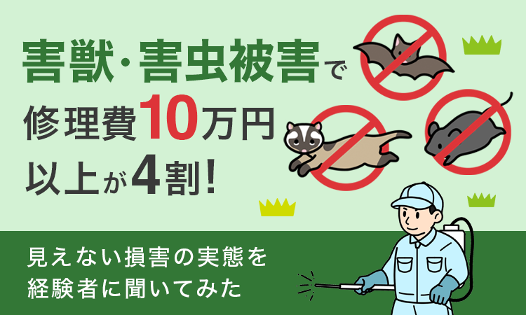 【害獣・害虫被害で“修理費10万円以上”が4割!】見えない損害の実態を経験者に聞いてみた