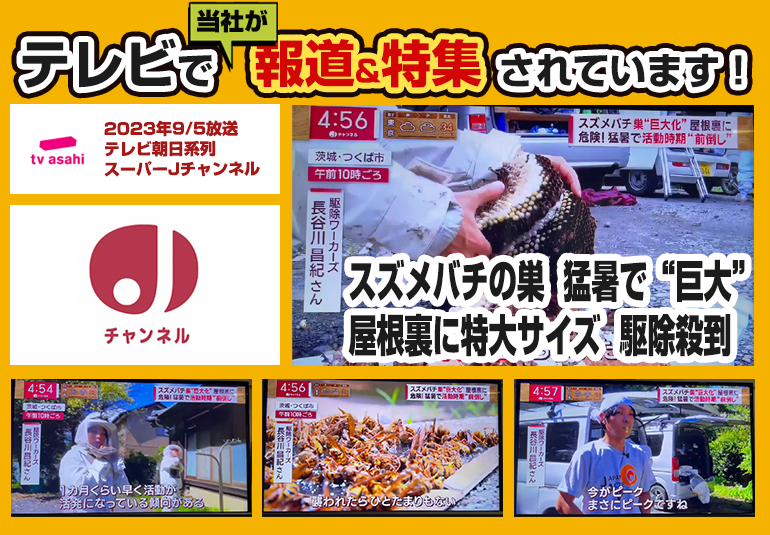 2023年9月5日、テレビ朝日系列の報道番組「スーパーJチャンネル」で当社の蜂駆除の様子が放送されました。